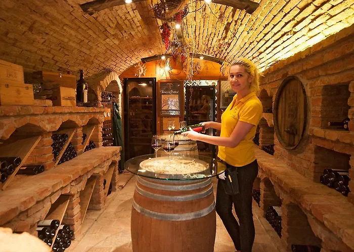 Hotel Sonne Aschach an der Donau