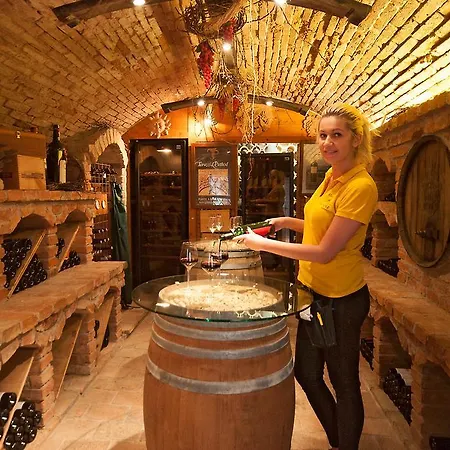 Hotel Sonne Aschach an der Donau